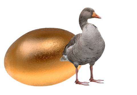 Goose That Laid The Golden Egg