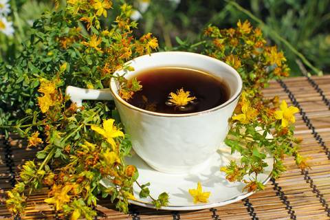 Brew Teas and Herbal Infusions